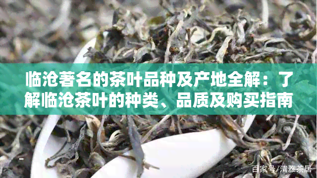 临沧著名的茶叶品种及产地全解：了解临沧茶叶的种类、品质及购买指南