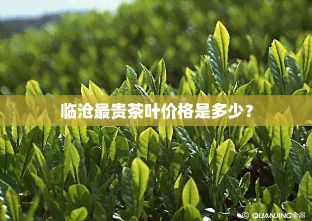 临沧最贵茶叶价格是多少？