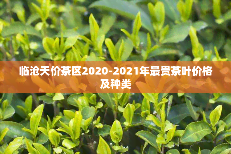 临沧天价茶区2020-2021年最贵茶叶价格及种类