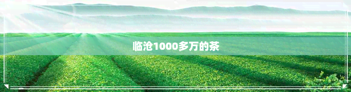 临沧1000多万的茶