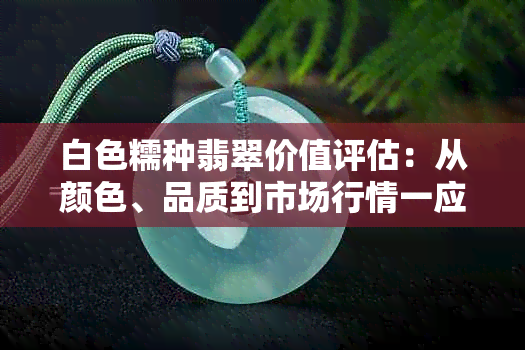 白色糯种翡翠价值评估：从颜色、品质到市场行情一应俱全