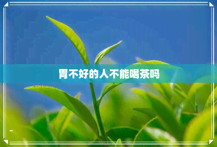 胃不好的人不能喝茶吗