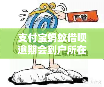 支付宝蚂蚁借呗逾期会到户所在地调查吗？