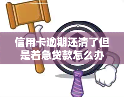 信用卡逾期还清了但是着急贷款怎么办