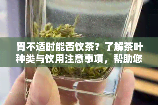 胃不适时能否饮茶？了解茶叶种类与饮用注意事项，帮助您选择更适合的茶饮