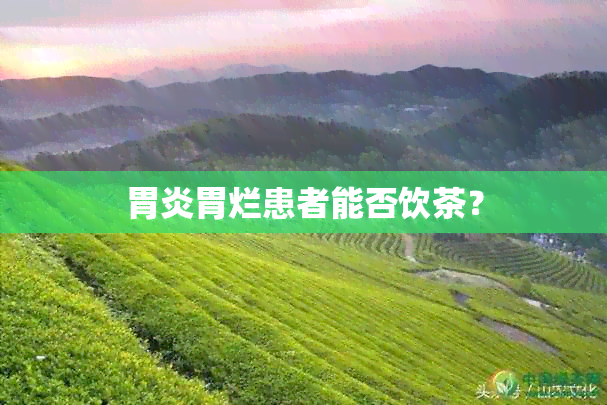 胃炎胃烂患者能否饮茶？