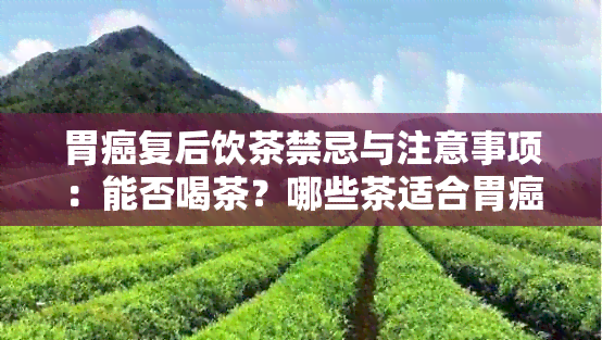 胃癌复后饮茶禁忌与注意事项：能否喝茶？哪些茶适合胃癌复者饮用？