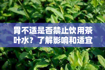 胃不适是否禁止饮用茶叶水？了解影响和适宜的选择