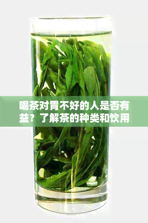 喝茶对胃不好的人是否有益？了解茶的种类和饮用方法以改善胃部不适