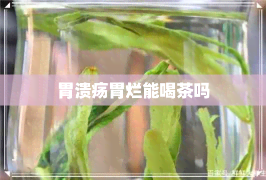 胃溃疡胃烂能喝茶吗