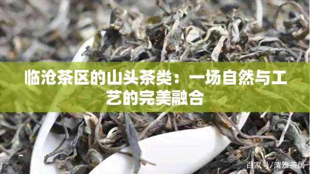 临沧茶区的山头茶类：一场自然与工艺的完美融合