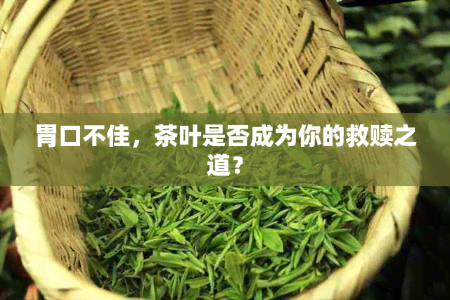 胃口不佳，茶叶是否成为你的救赎之道？