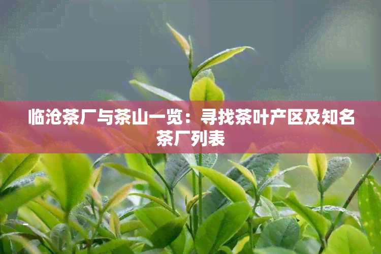 临沧茶厂与茶山一览：寻找茶叶产区及知名茶厂列表