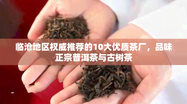 临沧地区权威推荐的10大优质茶厂，品味正宗普洱茶与古树茶