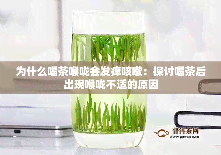 为什么喝茶喉咙会发痒咳嗽：探讨喝茶后出现喉咙不适的原因