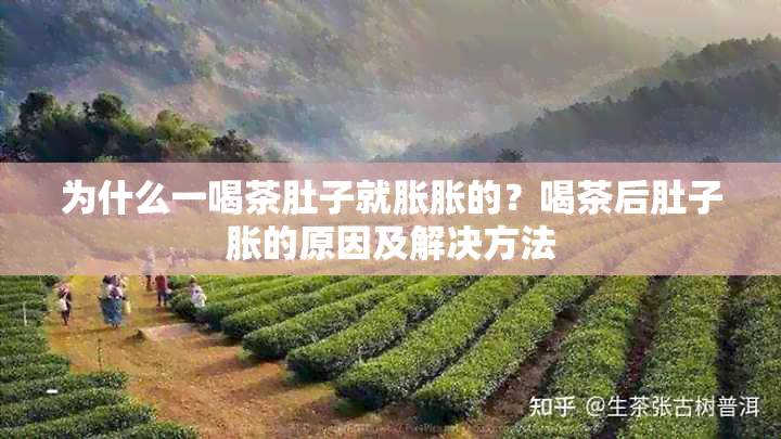 为什么一喝茶肚子就胀胀的？喝茶后肚子胀的原因及解决方法