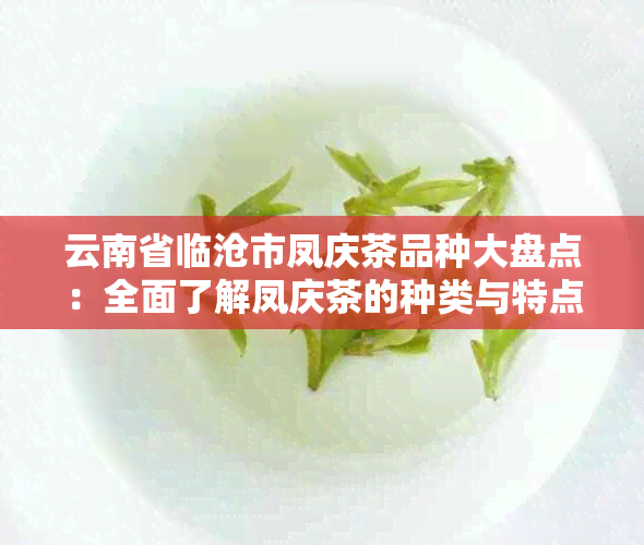 云南省临沧市凤庆茶品种大盘点：全面了解凤庆茶的种类与特点