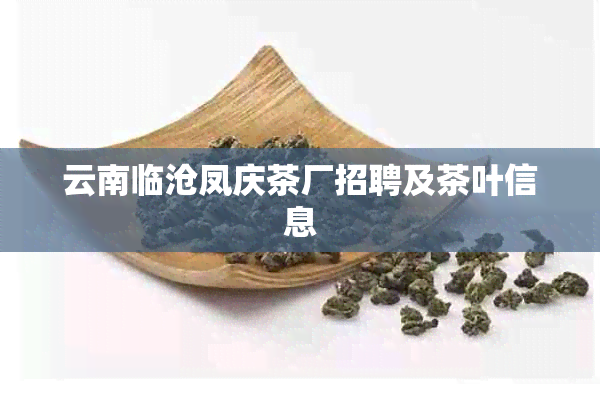 云南临沧凤庆茶厂招聘及茶叶信息