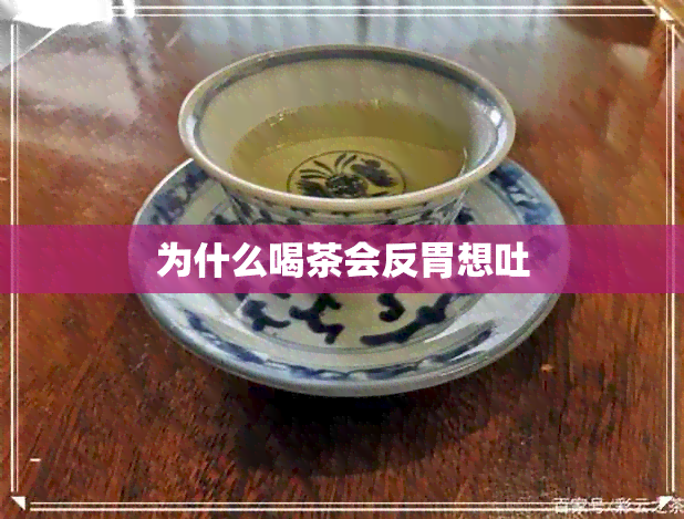 为什么喝茶会反胃想吐