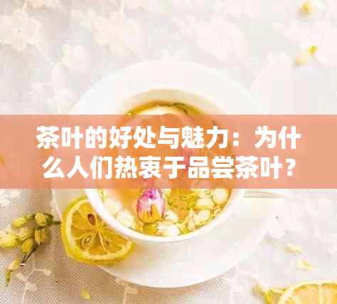 茶叶的好处与魅力：为什么人们热衷于品尝茶叶？