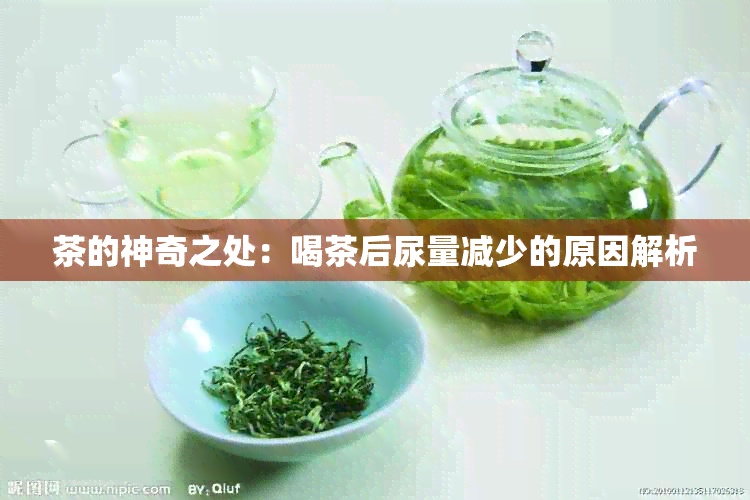 茶的神奇之处：喝茶后尿量减少的原因解析