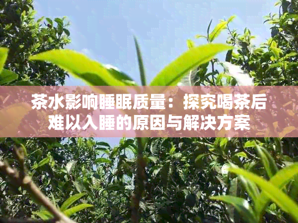 茶水影响睡眠质量：探究喝茶后难以入睡的原因与解决方案