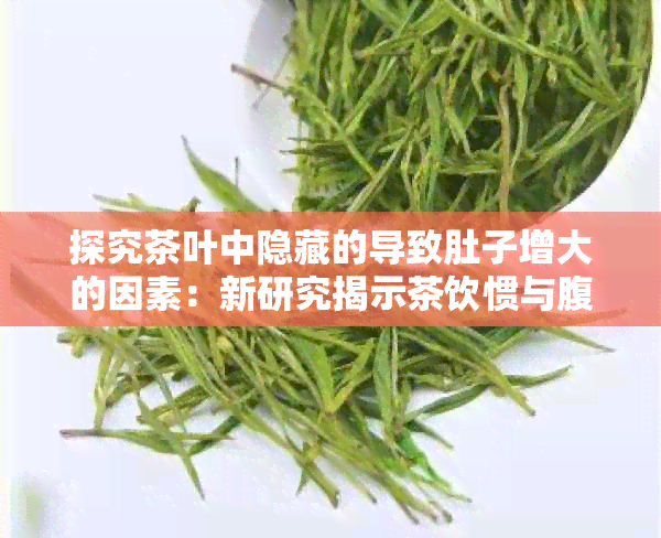 探究茶叶中隐藏的导致肚子增大的因素：新研究揭示茶饮惯与腹部肥胖的关系