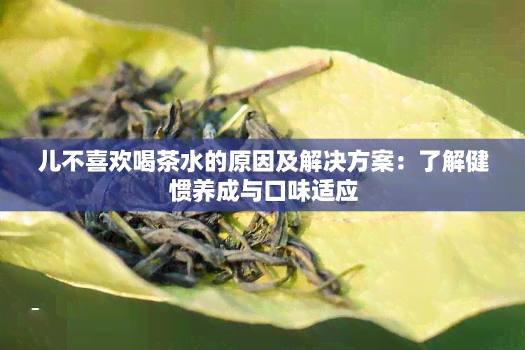 儿不喜欢喝茶水的原因及解决方案：了解健惯养成与口味适应