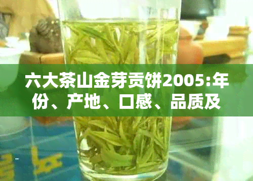 六大茶山金芽贡饼2005:年份、产地、口感、品质及泡法全方位解析