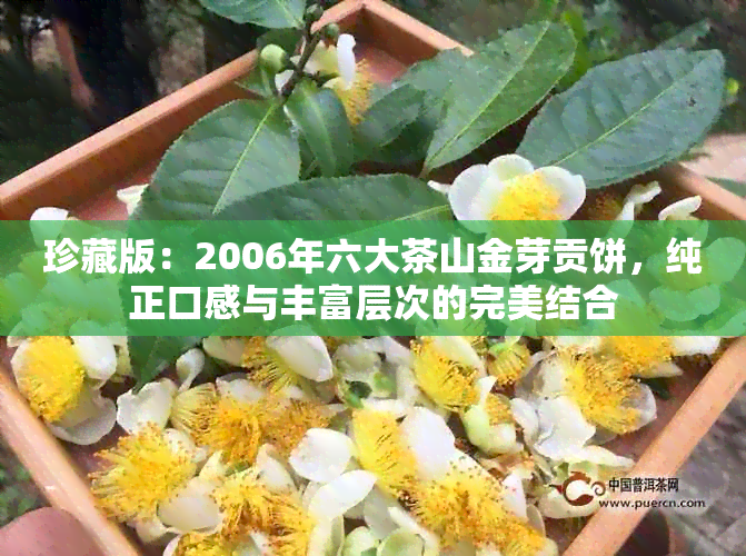 珍藏版：2006年六大茶山金芽贡饼，纯正口感与丰富层次的完美结合