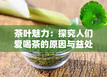 茶叶魅力：探究人们爱喝茶的原因与益处