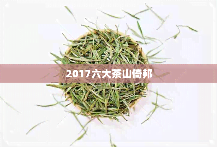 2017六大茶山倚邦