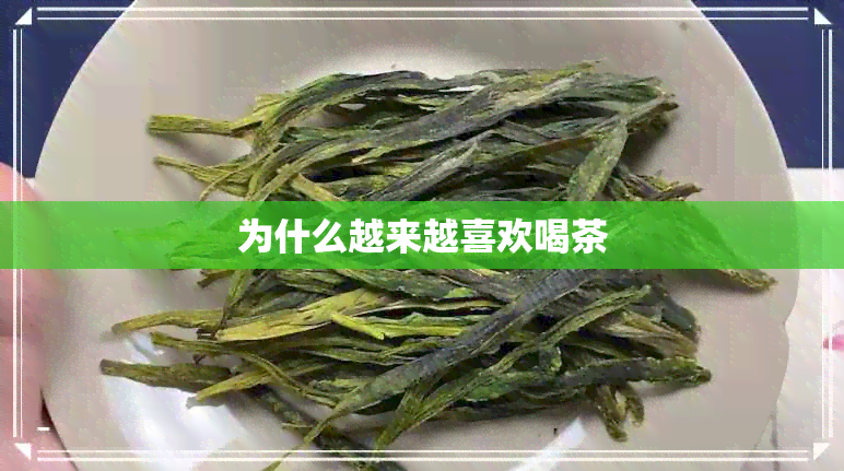 为什么越来越喜欢喝茶