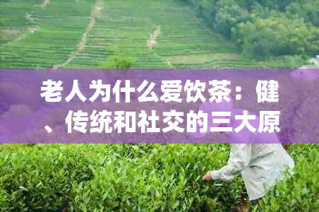 老人为什么爱饮茶：健、传统和社交的三大原因