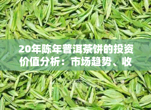 20年陈年普洱茶饼的投资价值分析：市场趋势、收藏前景与价格波动