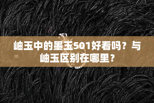 岫玉中的墨玉501好看吗？与岫玉区别在哪里？