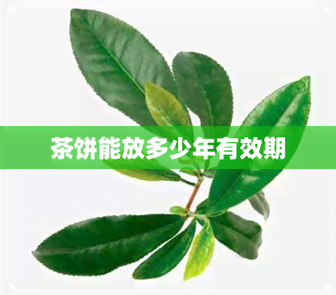 茶饼能放多少年有效期