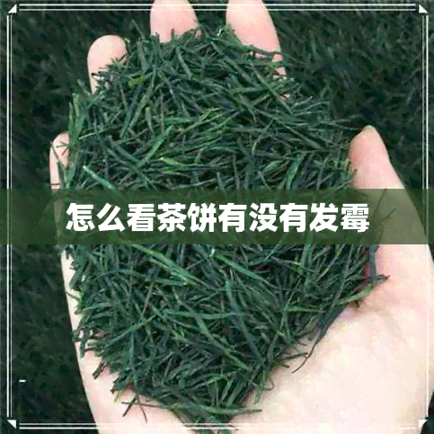 怎么看茶饼有没有发霉