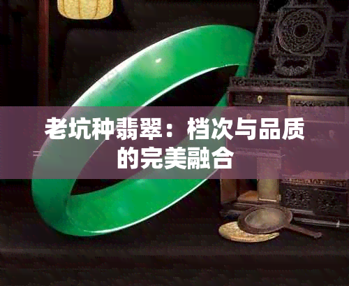 老坑种翡翠：档次与品质的完美融合