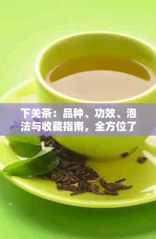 下关茶：品种、功效、泡法与收藏指南，全方位了解最值得收藏的茶