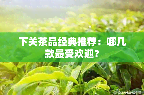 下关茶品经典推荐：哪几款更受欢迎？