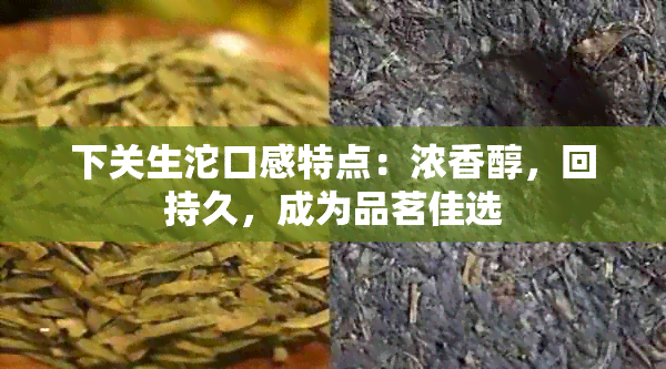 下关生沱口感特点：浓香醇，回持久，成为品茗佳选