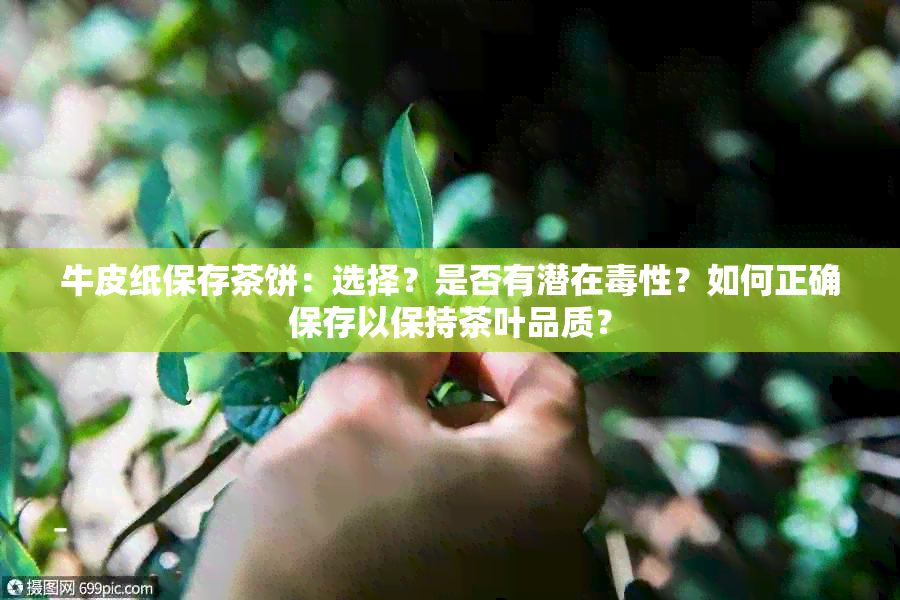 牛皮纸保存茶饼：选择？是否有潜在性？如何正确保存以保持茶叶品质？