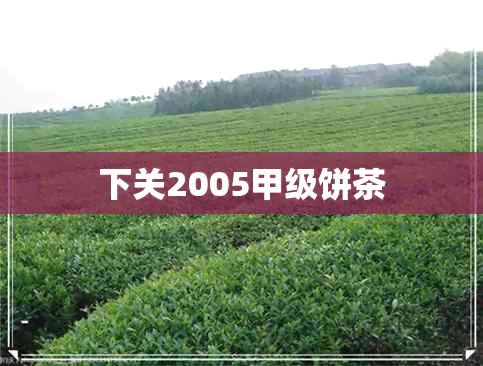 下关2005甲级饼茶