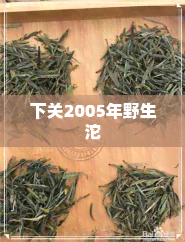 下关2005年野生沱