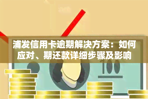 浦发信用卡逾期解决方案：如何应对、期还款详细步骤及影响