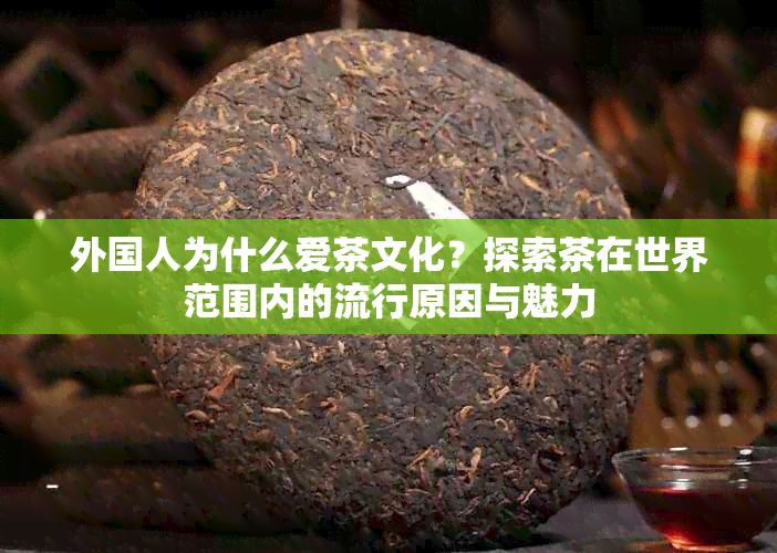 外国人为什么爱茶文化？探索茶在世界范围内的流行原因与魅力