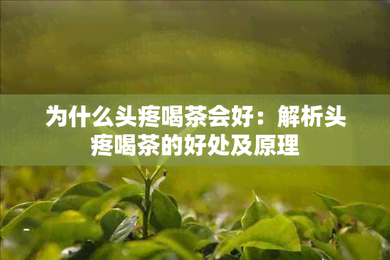 为什么头疼喝茶会好：解析头疼喝茶的好处及原理