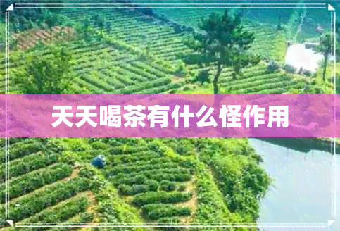 天天喝茶有什么怪作用