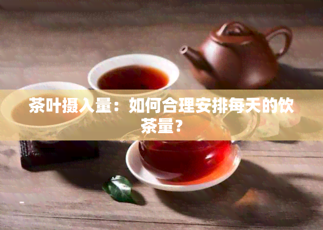 茶叶摄入量：如何合理安排每天的饮茶量？